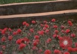 Image of Signal Group Headquarters Long Binh Vietnam, 1969, second 57 stock footage video 65675035974