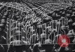 Image alliés au Japon Japon, 1945, de la seconde 14 séquences d'archives historiques vidéo 65675035986