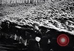 Image of Wars by Germany Germany, 1945, second 5 stock footage video 65675035991