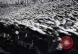 Image of Wars by Germany Germany, 1945, second 6 stock footage video 65675035991