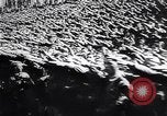 Image of Wars by Germany Germany, 1945, second 9 stock footage video 65675035991