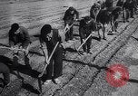 Image of Wars by Germany Germany, 1945, second 35 stock footage video 65675035991