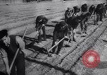Image of Wars by Germany Germany, 1945, second 36 stock footage video 65675035991
