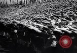 Image of Wars by Germany Germany, 1945, second 62 stock footage video 65675035991