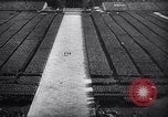 Image of Germany in the wake of the two world Wars Germany, 1945, second 21 stock footage video 65675035996