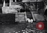 Image of King Carol II Bucharest Romania, 1931, second 48 stock footage video 65675035998