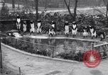 Image of mascots of penguins Philadelphia Pennsylvania USA, 1931, second 7 stock footage video 65675035999