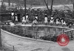 Image of mascots of penguins Philadelphia Pennsylvania USA, 1931, second 8 stock footage video 65675035999