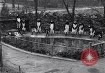 Image of mascots of penguins Philadelphia Pennsylvania USA, 1931, second 9 stock footage video 65675035999