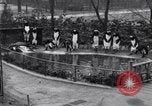 Image of mascots of penguins Philadelphia Pennsylvania USA, 1931, second 10 stock footage video 65675035999