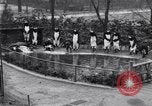 Image of mascots of penguins Philadelphia Pennsylvania USA, 1931, second 11 stock footage video 65675035999