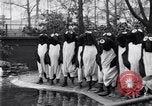 Image of mascots of penguins Philadelphia Pennsylvania USA, 1931, second 13 stock footage video 65675035999
