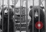 Image of mascots of penguins Philadelphia Pennsylvania USA, 1931, second 16 stock footage video 65675035999