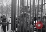 Image of mascots of penguins Philadelphia Pennsylvania USA, 1931, second 21 stock footage video 65675035999