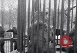 Image of mascots of penguins Philadelphia Pennsylvania USA, 1931, second 22 stock footage video 65675035999