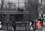 Image of mascots of penguins Philadelphia Pennsylvania USA, 1931, second 23 stock footage video 65675035999