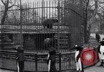 Image of mascots of penguins Philadelphia Pennsylvania USA, 1931, second 24 stock footage video 65675035999