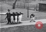 Image of mascots of penguins Philadelphia Pennsylvania USA, 1931, second 31 stock footage video 65675035999