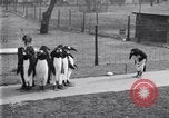 Image of mascots of penguins Philadelphia Pennsylvania USA, 1931, second 34 stock footage video 65675035999