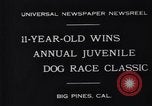 Image dog race Big Pines California USA, 1931, de la seconde 5 séquences d'archives historiques vidéo 65675036003