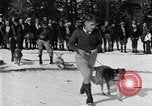 Image dog race Big Pines California USA, 1931, de la seconde 13 séquences d'archives historiques vidéo 65675036003