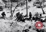 Image dog race Big Pines California USA, 1931, de la seconde 16 séquences d'archives historiques vidéo 65675036003