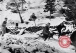 Image dog race Big Pines California USA, 1931, de la seconde 18 séquences d'archives historiques vidéo 65675036003