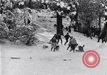 Image dog race Big Pines California USA, 1931, de la seconde 20 séquences d'archives historiques vidéo 65675036003