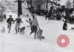 Image dog race Big Pines California USA, 1931, de la seconde 22 séquences d'archives historiques vidéo 65675036003