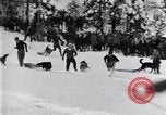 Image dog race Big Pines California USA, 1931, de la seconde 24 séquences d'archives historiques vidéo 65675036003