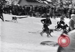 Image dog race Big Pines California USA, 1931, de la seconde 26 séquences d'archives historiques vidéo 65675036003
