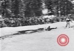 Image dog race Big Pines California USA, 1931, de la seconde 31 séquences d'archives historiques vidéo 65675036003