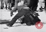 Image dog race Big Pines California USA, 1931, de la seconde 33 séquences d'archives historiques vidéo 65675036003