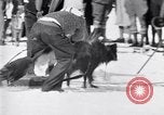 Image dog race Big Pines California USA, 1931, de la seconde 34 séquences d'archives historiques vidéo 65675036003