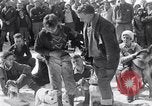 Image dog race Big Pines California USA, 1931, de la seconde 39 séquences d'archives historiques vidéo 65675036003