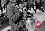 Image dog race Big Pines California USA, 1931, de la seconde 40 séquences d'archives historiques vidéo 65675036003
