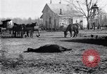 Image La pauvreté chez les victimes de la grande dépression Marked Tree Arkansas USA, 1931, de la seconde 32 séquences d'archives historiques vidéo 65675036005