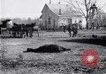 Image La pauvreté chez les victimes de la grande dépression Marked Tree Arkansas USA, 1931, de la seconde 33 séquences d'archives historiques vidéo 65675036005