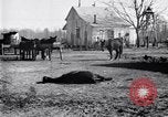 Image La pauvreté chez les victimes de la grande dépression Marked Tree Arkansas USA, 1931, de la seconde 34 séquences d'archives historiques vidéo 65675036005