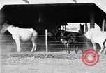 Image La pauvreté chez les victimes de la grande dépression Marked Tree Arkansas USA, 1931, de la seconde 36 séquences d'archives historiques vidéo 65675036005