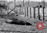 Image La pauvreté chez les victimes de la grande dépression Marked Tree Arkansas USA, 1931, de la seconde 39 séquences d'archives historiques vidéo 65675036005