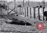 Image La pauvreté chez les victimes de la grande dépression Marked Tree Arkansas USA, 1931, de la seconde 40 séquences d'archives historiques vidéo 65675036005