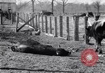 Image La pauvreté chez les victimes de la grande dépression Marked Tree Arkansas USA, 1931, de la seconde 41 séquences d'archives historiques vidéo 65675036005