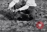 Image La pauvreté chez les victimes de la grande dépression Marked Tree Arkansas USA, 1931, de la seconde 53 séquences d'archives historiques vidéo 65675036005