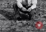 Image La pauvreté chez les victimes de la grande dépression Marked Tree Arkansas USA, 1931, de la seconde 54 séquences d'archives historiques vidéo 65675036005