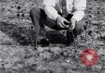 Image La pauvreté chez les victimes de la grande dépression Marked Tree Arkansas USA, 1931, de la seconde 55 séquences d'archives historiques vidéo 65675036005