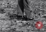 Image La pauvreté chez les victimes de la grande dépression Marked Tree Arkansas USA, 1931, de la seconde 57 séquences d'archives historiques vidéo 65675036005