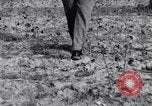 Image La pauvreté chez les victimes de la grande dépression Marked Tree Arkansas USA, 1931, de la seconde 58 séquences d'archives historiques vidéo 65675036005