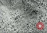 Image of Azon Bomb United States USA, 1940, second 36 stock footage video 65675036020