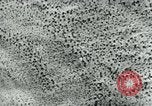 Image of Azon Bomb United States USA, 1940, second 39 stock footage video 65675036020